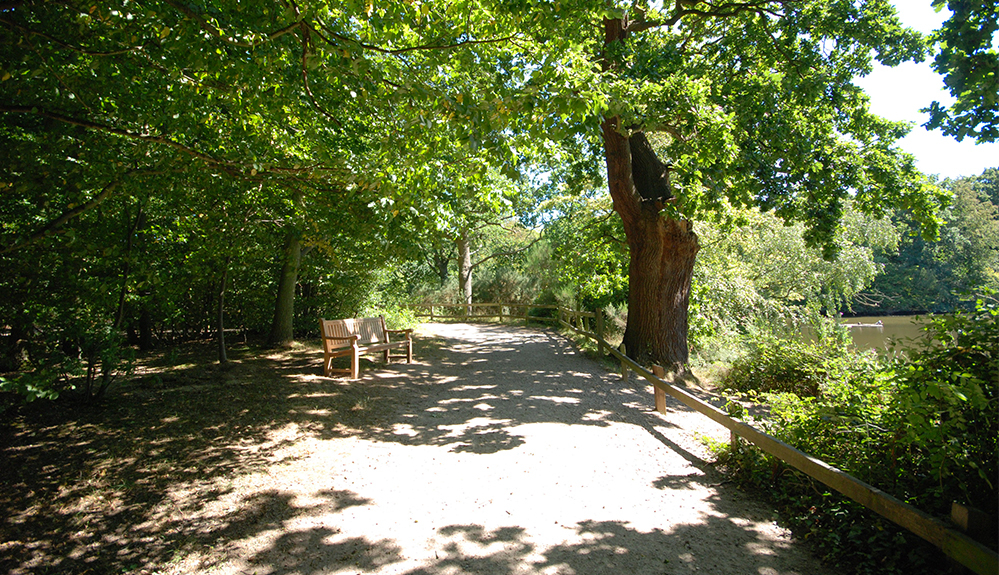 Bakers Funeral Services, based in Danbury near Chelmsford, Essex